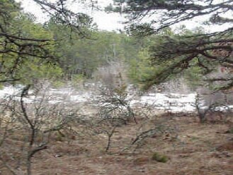 349 Old King's Hwy, Wellfleet, MA à vendre - Photo principale – Image 1 sur 2