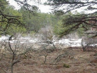 Plus de détails pour 349 Old King's Hwy, Wellfleet, MA - Terrain à vendre