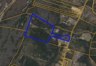 Plus de détails pour TBD N Nichols Highway, Nichols, SC - Terrain à vendre