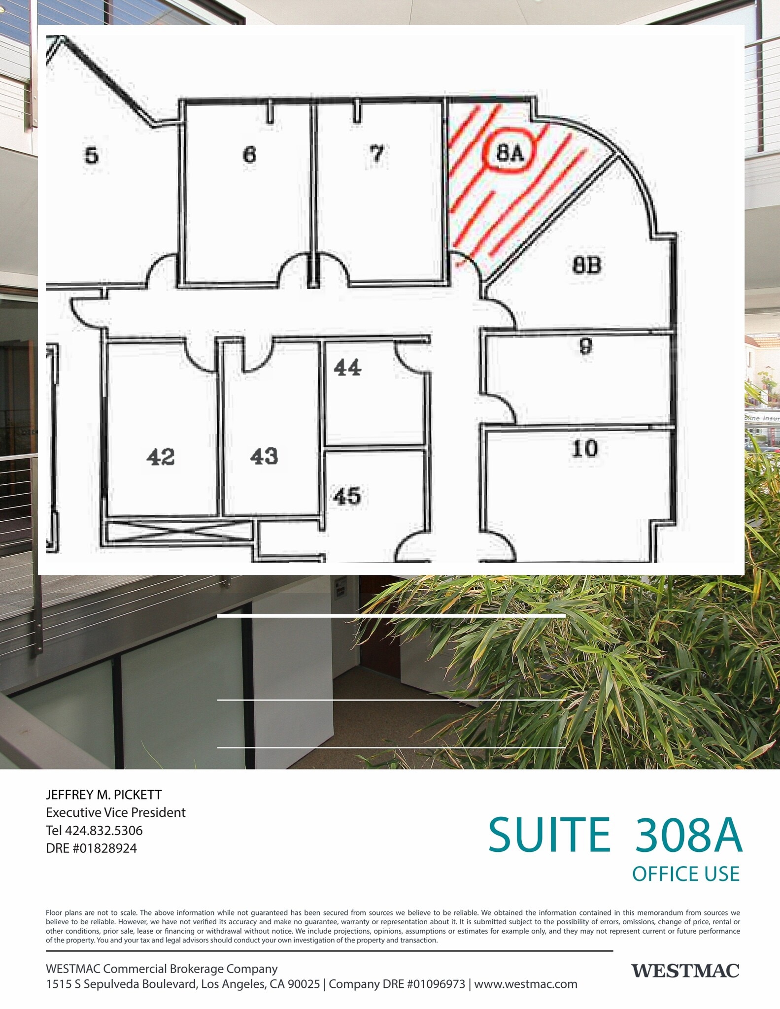 12304 Santa Monica Blvd, Los Angeles, CA à louer Plan d’étage– Image 1 sur 1