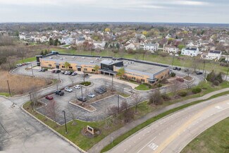 Plus de détails pour 1110-1124 Schick Rd, Bartlett, IL - Bureau/Médical à louer