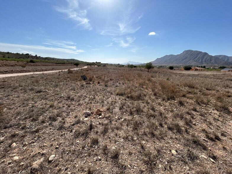 Terrain dans Orihuela, Alicante à vendre - Photo de l’immeuble – Image 1 sur 2