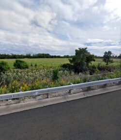 10230 Panoramic Dr, Schiller Park, IL à vendre - Photo de l’immeuble – Image 2 sur 3