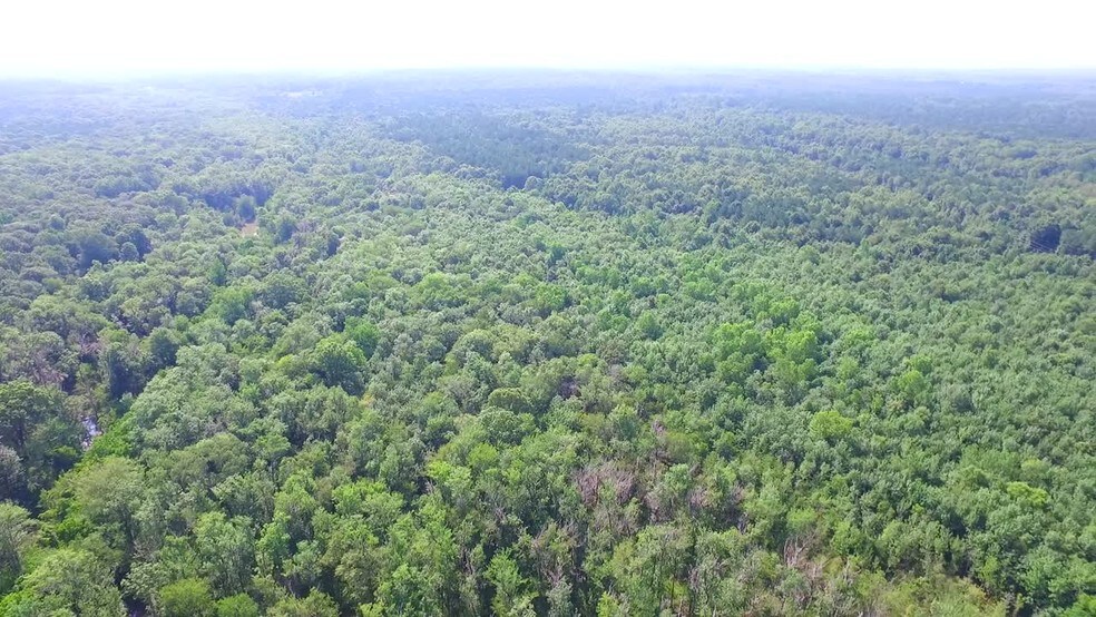 Taylor Rd & Highway 231, Montgomery, AL à vendre - Vidéo sur l’annonce professionnelle – Image 2 sur 6