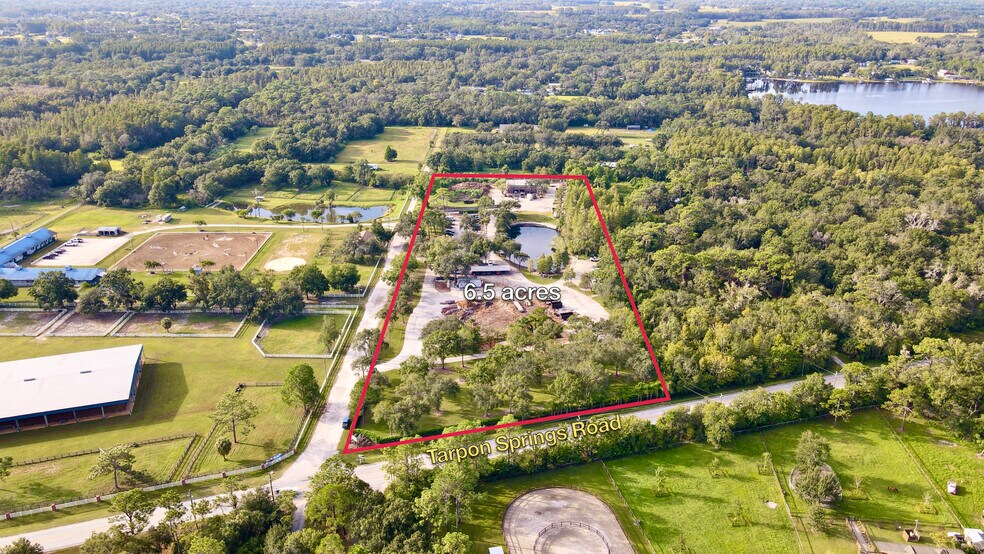 11602 Tarpon Springs Rd, Odessa, FL à vendre - Photo principale – Image 1 sur 10