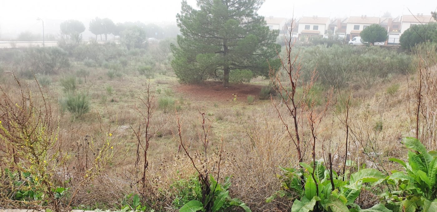 Avenida Boecillo, 58, Boecillo, Valladolid à vendre Photo de l’immeuble– Image 1 sur 21