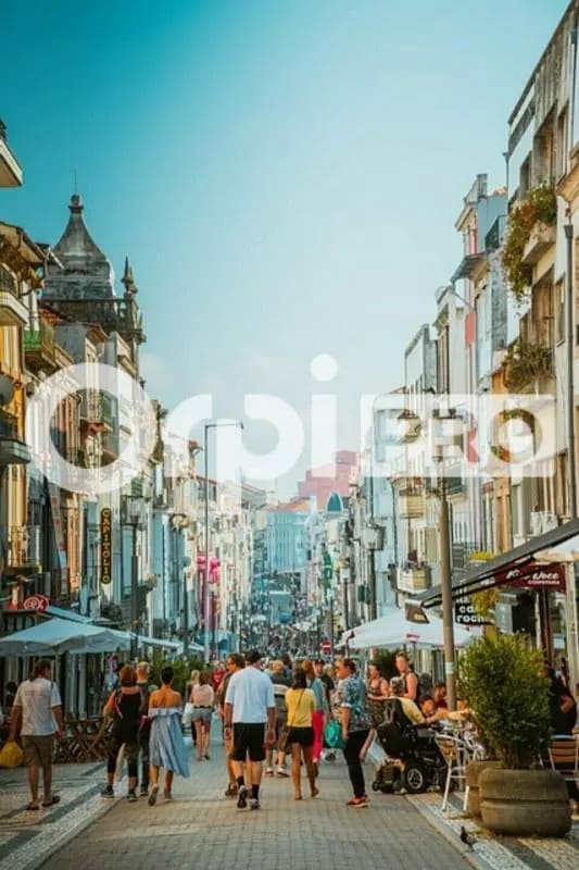 Plus de détails pour Local d'activités à louer