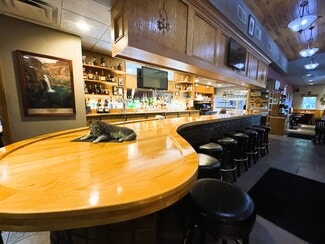 Plus de détails pour 20400 E Austin Rd, Manchester, MI - Local commercial à vendre
