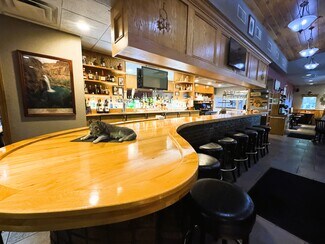 Plus de détails pour 20400 E Austin Rd, Manchester, MI - Local commercial à vendre