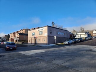Plus de détails pour 831 E 2nd St, Duluth, MN - Bureau à vendre