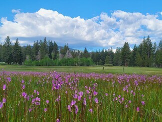 Plus de détails pour 320 Independence Lake Rd, Sierraville, CA - Spécialisé à vendre