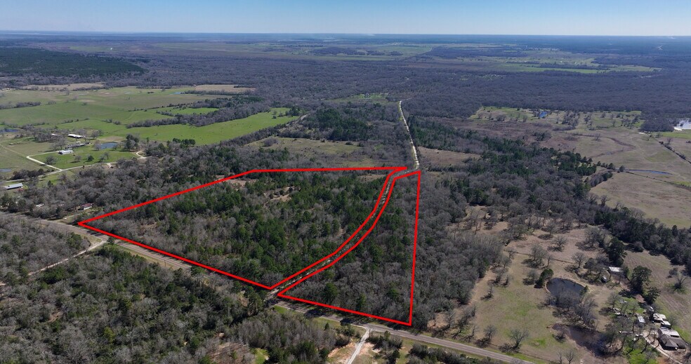 0000 Palmetto rd, Trinity, TX à vendre - Photo de l’immeuble – Image 2 sur 10