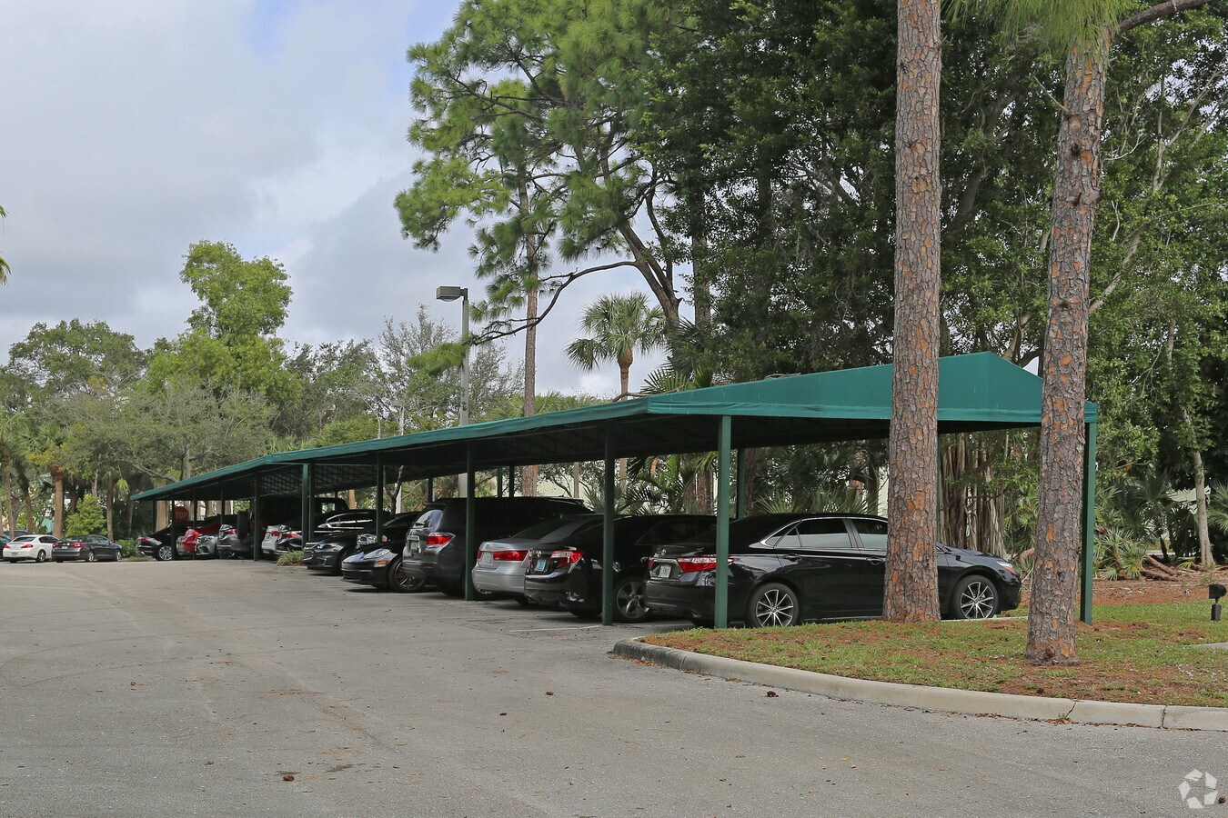 View Photo