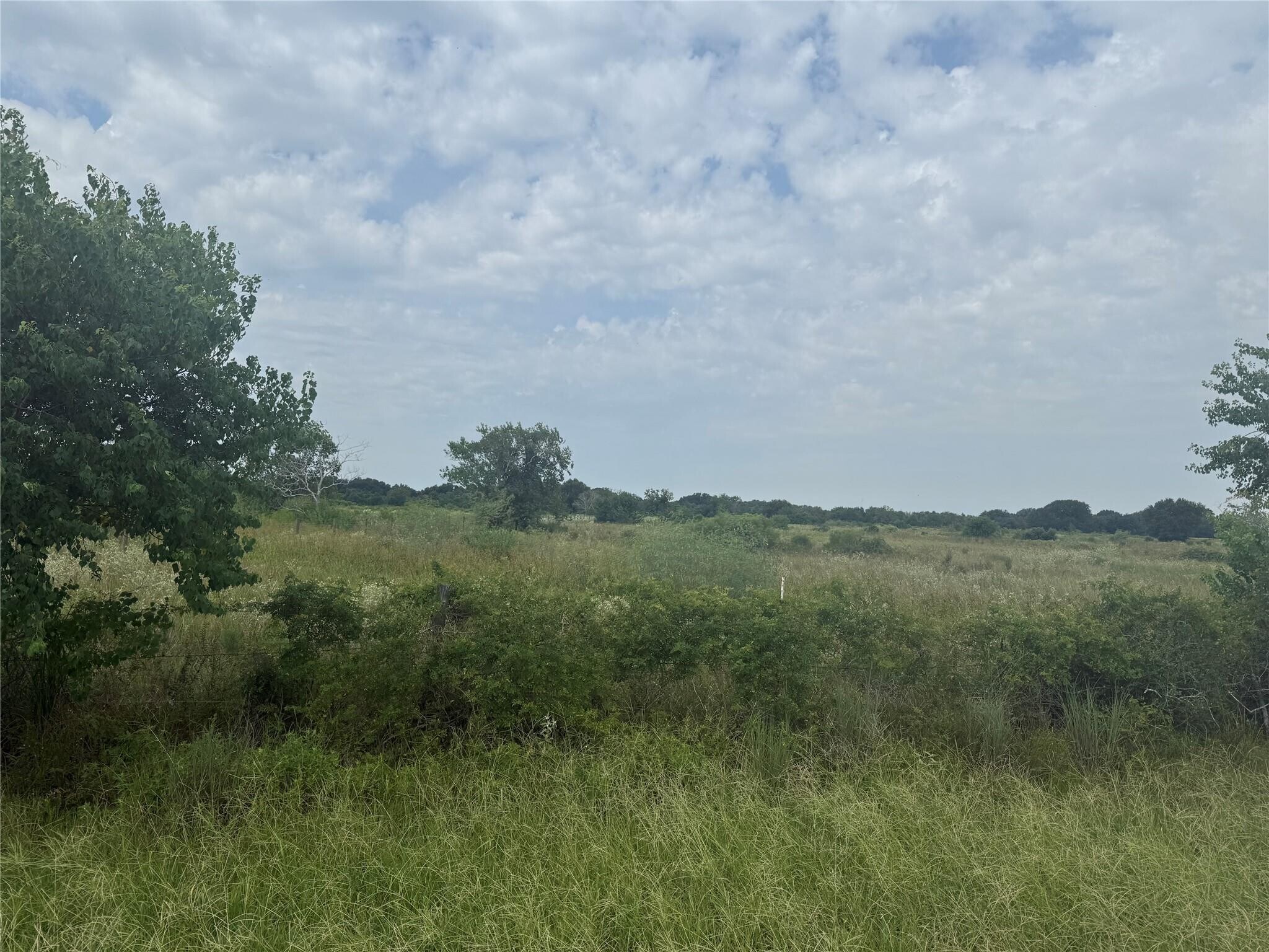 0 County Road 25 Rd, Damon, TX à vendre Photo principale– Image 1 sur 5