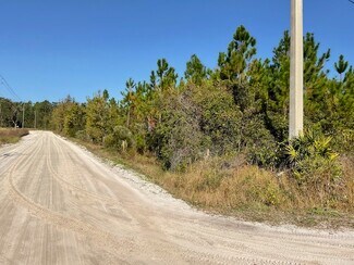 Plus de détails pour 14163 Arnold Rhoden Road, Sanderson, FL - Terrain à vendre