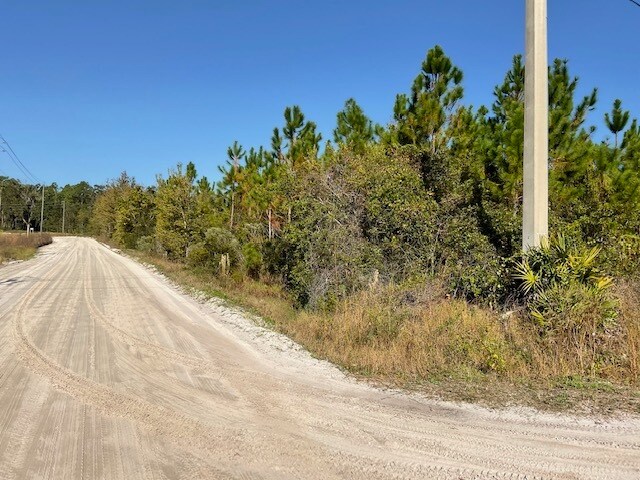14163 Arnold Rhoden Road, Sanderson, FL à vendre Photo principale– Image 1 sur 2