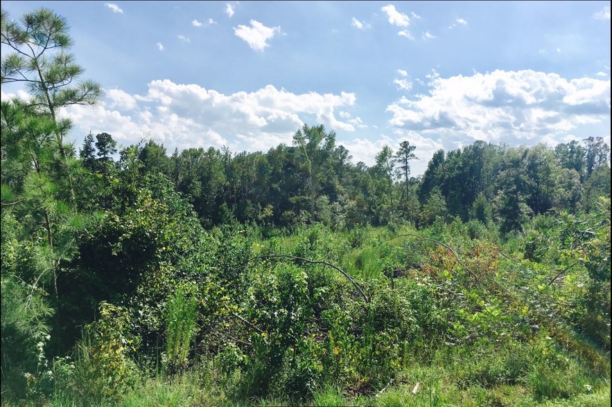 NC Hwy 24 87, Cameron, NC à vendre - Autre – Image 3 sur 15