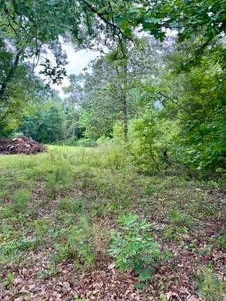Plus de détails pour TBD Possum Trot ln, Pitkin, LA - Terrain à vendre