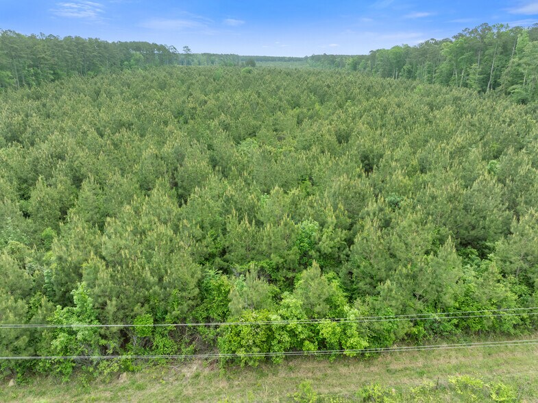 TBD Kenna Rd, Summit, MS à vendre - Aérien – Image 2 sur 8