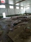 Foto interior