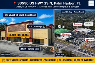 Plus de détails pour 33550 US Highway 19 N, Palm Harbor, FL - Local commercial à louer