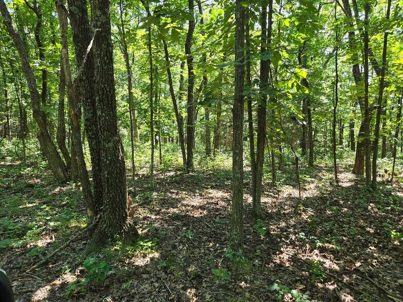 20765 State Highway 42, Belle, MO à vendre - Autre – Image 3 sur 6