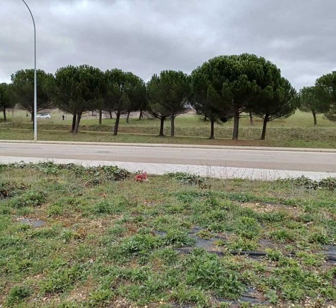 de Carbajal, Leon, Eras de, 22, León, León à vendre Plan de site– Image 1 sur 7