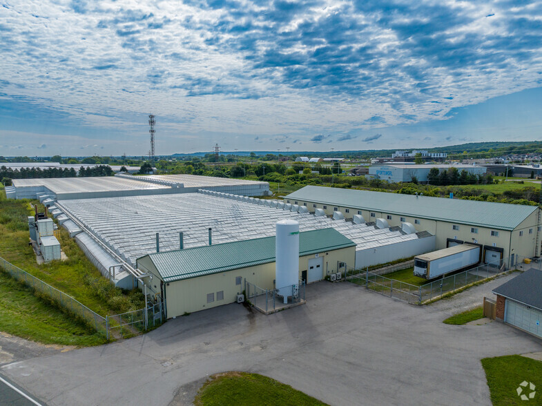 378 South Service Rd, Grimsby, ON à vendre - Photo de l’immeuble – Image 3 sur 7