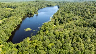 Plus de détails pour 1379 CT-197, Woodstock, CT - Spécialisé à vendre