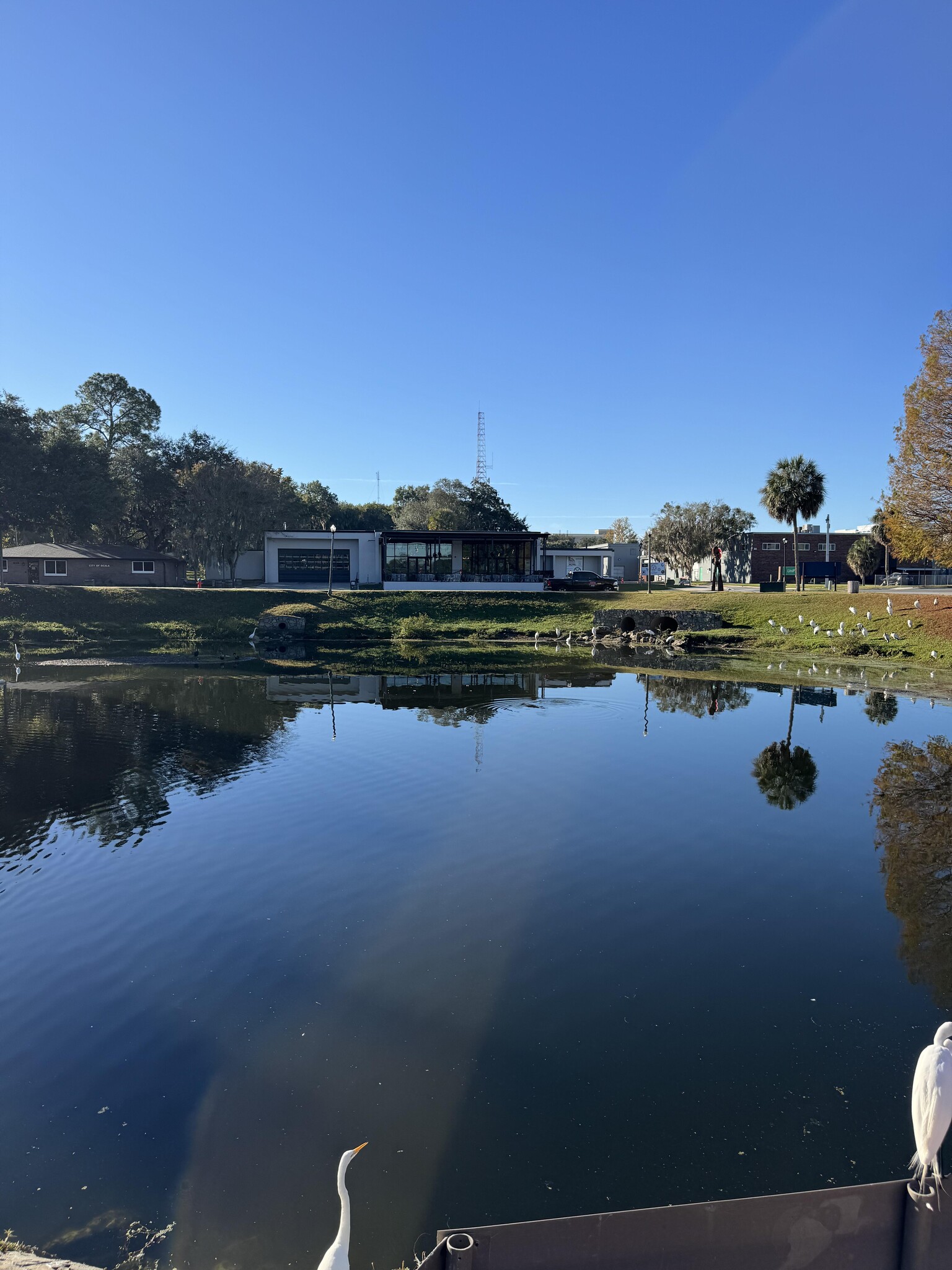 235 NE Watula Ave, Ocala, FL à vendre Photo principale– Image 1 sur 57