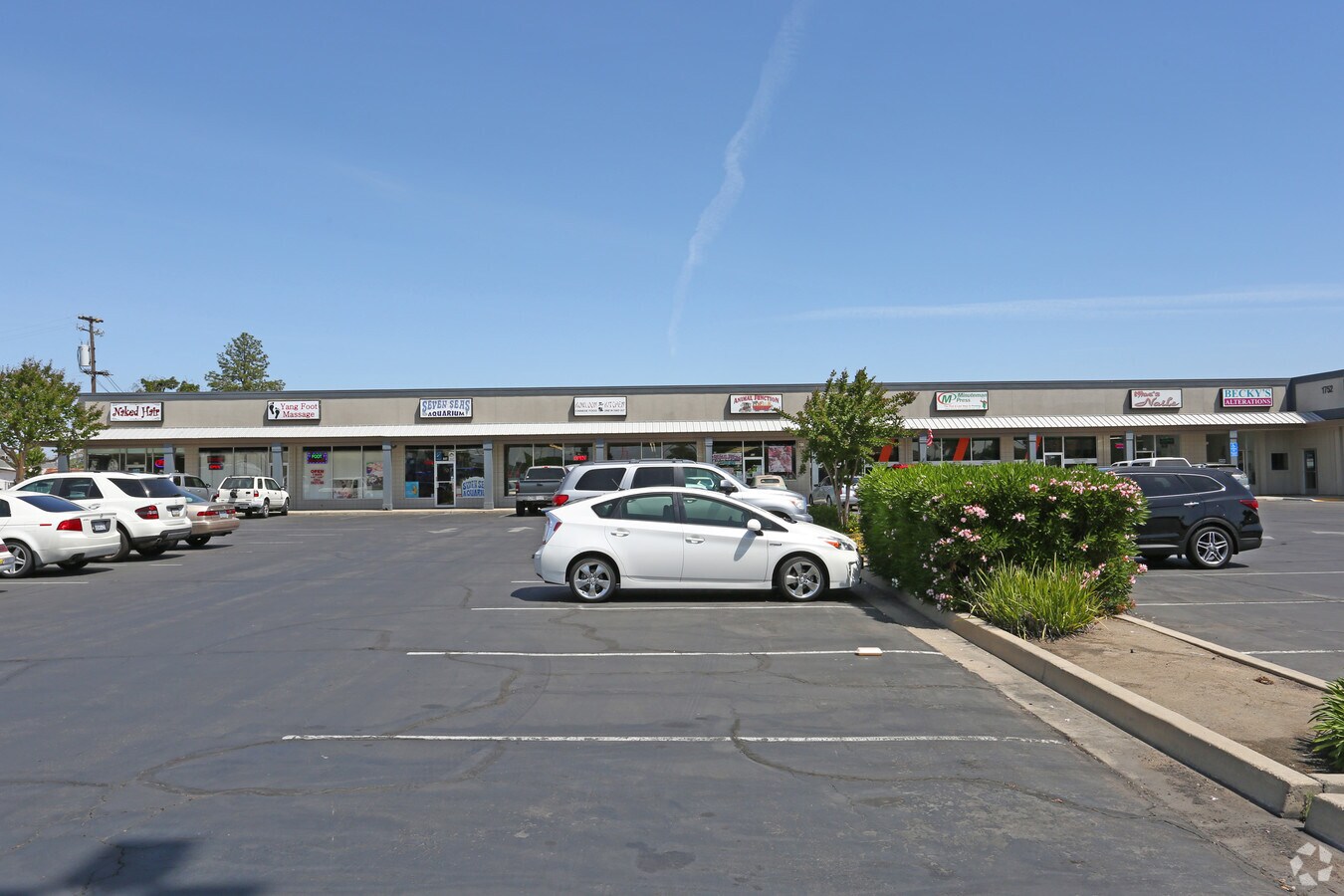 View Photo