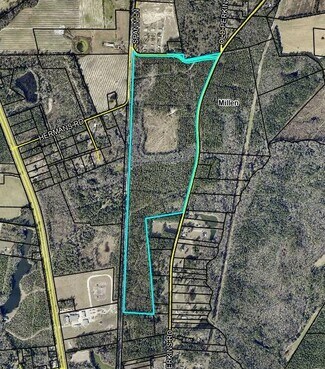 Plus de détails pour Old Perkins Road, Millen, GA - Terrain à vendre
