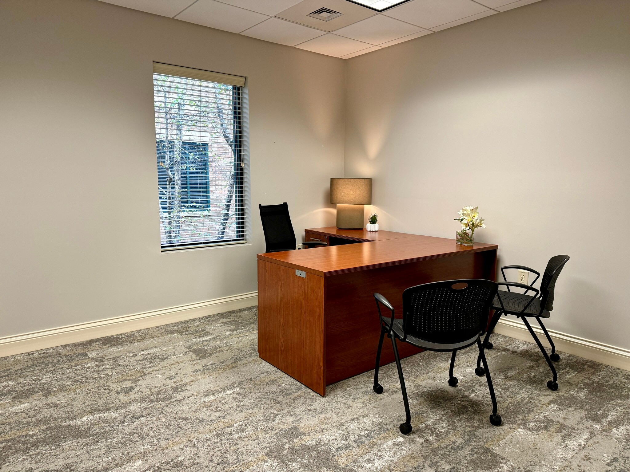 1213 Culbreth Dr, Wilmington, NC à louer Photo intérieure– Image 1 sur 10