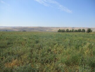Plus de détails pour Thurber, Touchet, WA - Terrain à vendre