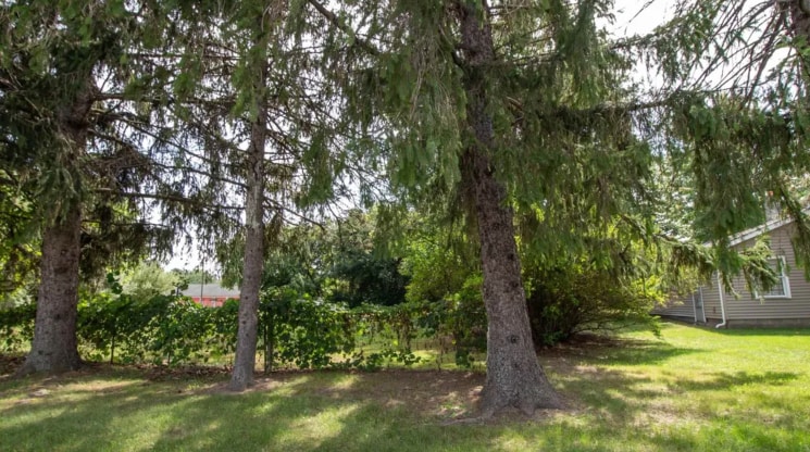 3473 Vienna Rd, Clio, MI à vendre - Photo de l’immeuble – Image 2 sur 4