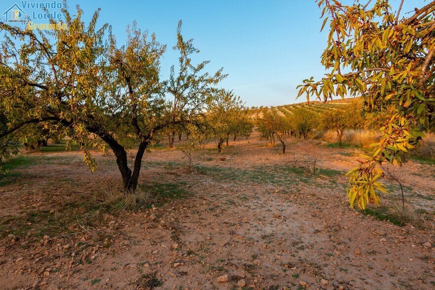 Camino la Zapatera, Gójar, Granada à vendre - Photo de l’immeuble – Image 2 sur 15