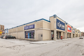 Plus de détails pour 1651 Merivale Rd SE, Ottawa, ON - Local commercial à louer