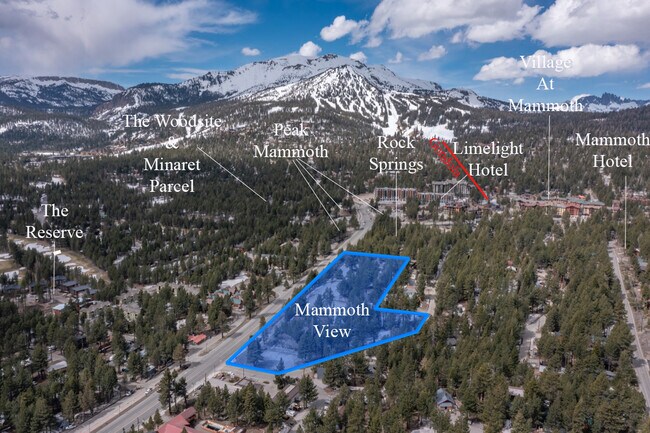 Plus de détails pour 3730 Viewpoint Rd, Mammoth Lakes, CA - Terrain à vendre