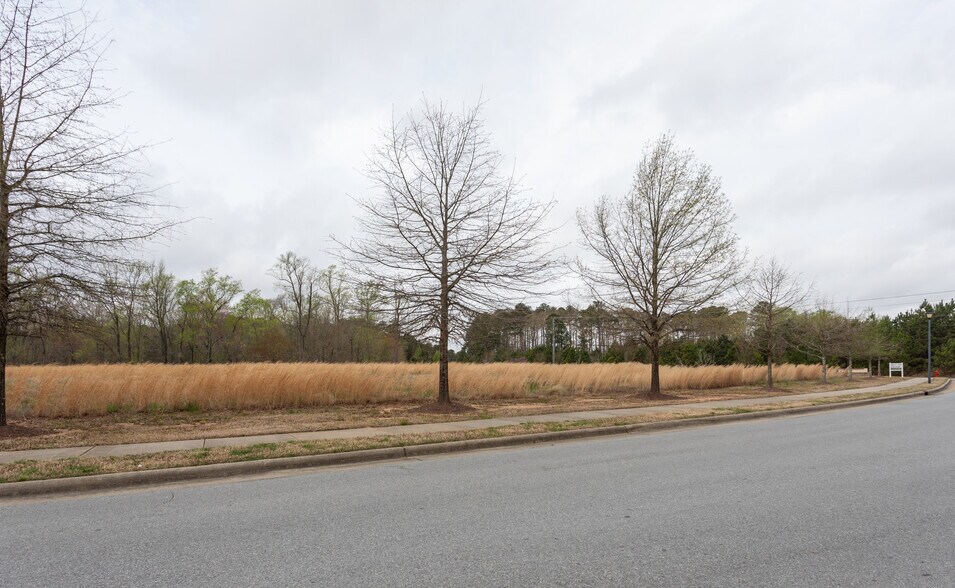 900 Broadstone Way, Apex, NC à vendre - Photo de la construction – Image 2 sur 4