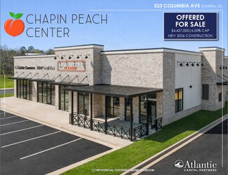 Plus de détails pour 523 Columbia ave, Chapin, SC - Local commercial à vendre