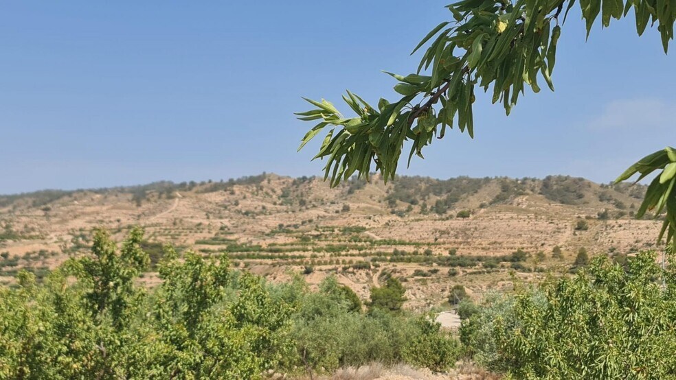 Terrain dans Abanilla, Murcia à vendre - Photo principale – Image 1 sur 10