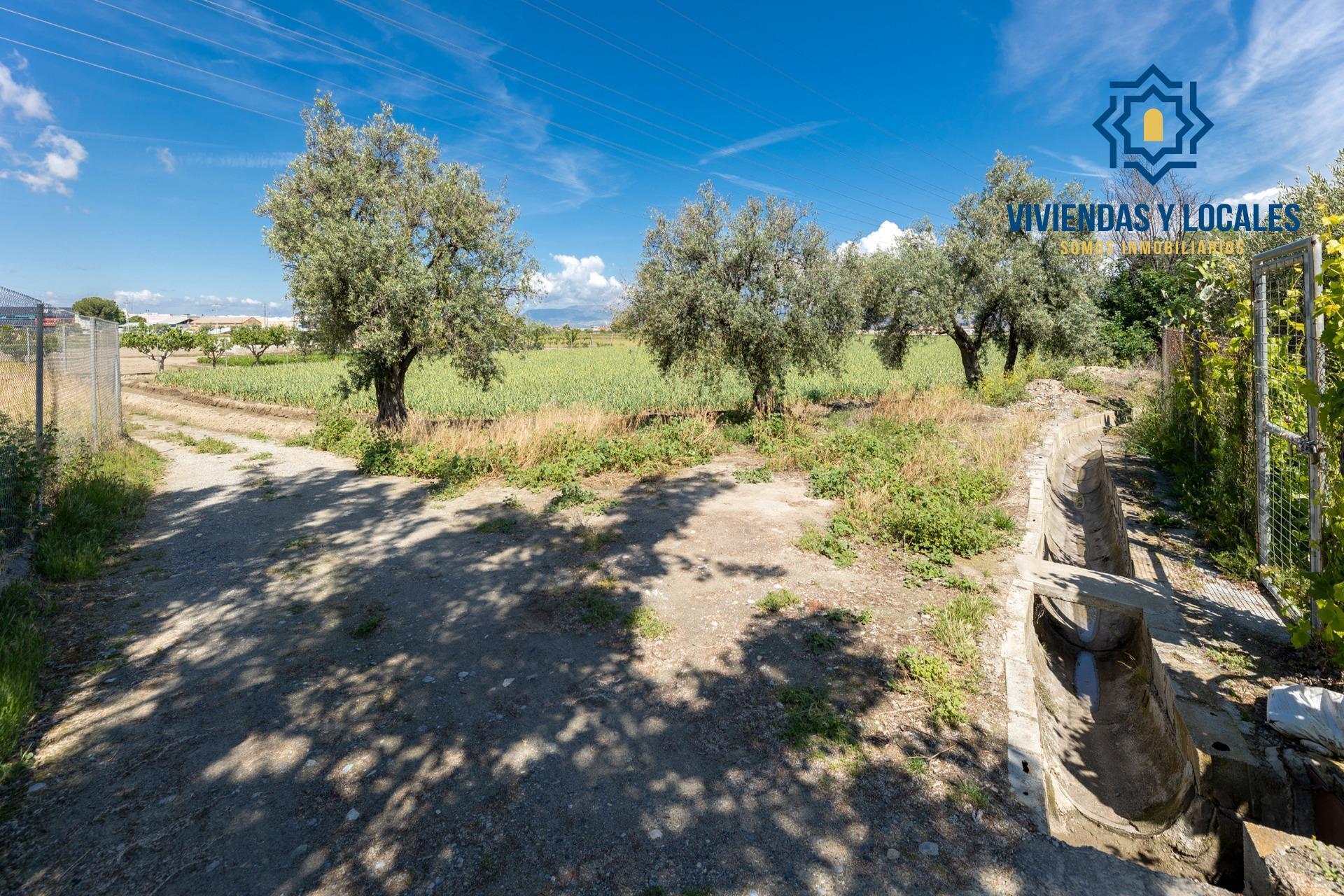 Calle Ramal del Río, Cúllar Vega, Granada à vendre Photo principale– Image 1 sur 24