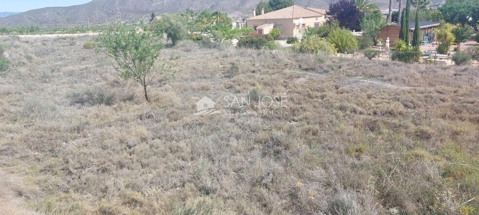 Terrain dans Hondón de los Frailes, Alicante à vendre - Photo principale – Image 1 sur 9