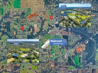 Plus de détails pour 8620 Old Pascagoula Rd, Theodore, AL - Terrain à vendre