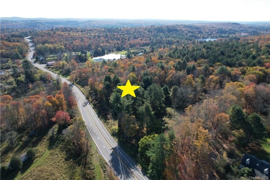 1195 State Route 17B, Bethel, NY à vendre - Aérien – Image 1 sur 38