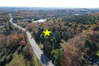Plus de détails pour 1195 State Route 17B, Bethel, NY - Terrain à vendre