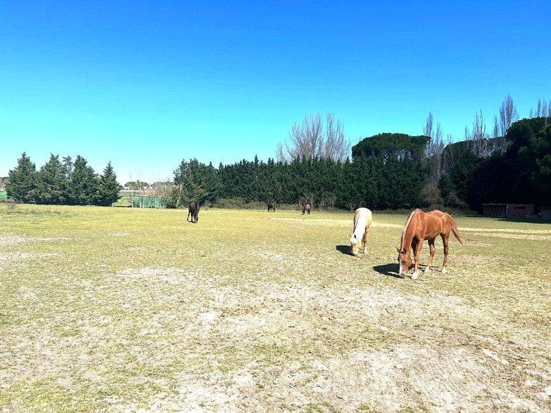 de Castillejo, S/N, Laguna de Duero, Valladolid à vendre - Photo de l’immeuble – Image 3 sur 46
