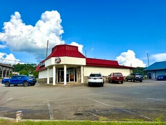 Plus de détails pour 76 Industrial Blvd, Ellijay, GA - Local commercial à vendre