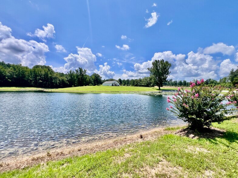 3375 Rowland Mill Rd, Buena Vista, TN à louer - Photo de l’immeuble – Image 1 sur 25