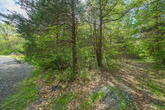Plus de détails pour Remington Subdivision – Terrain à vendre, Remington, VA